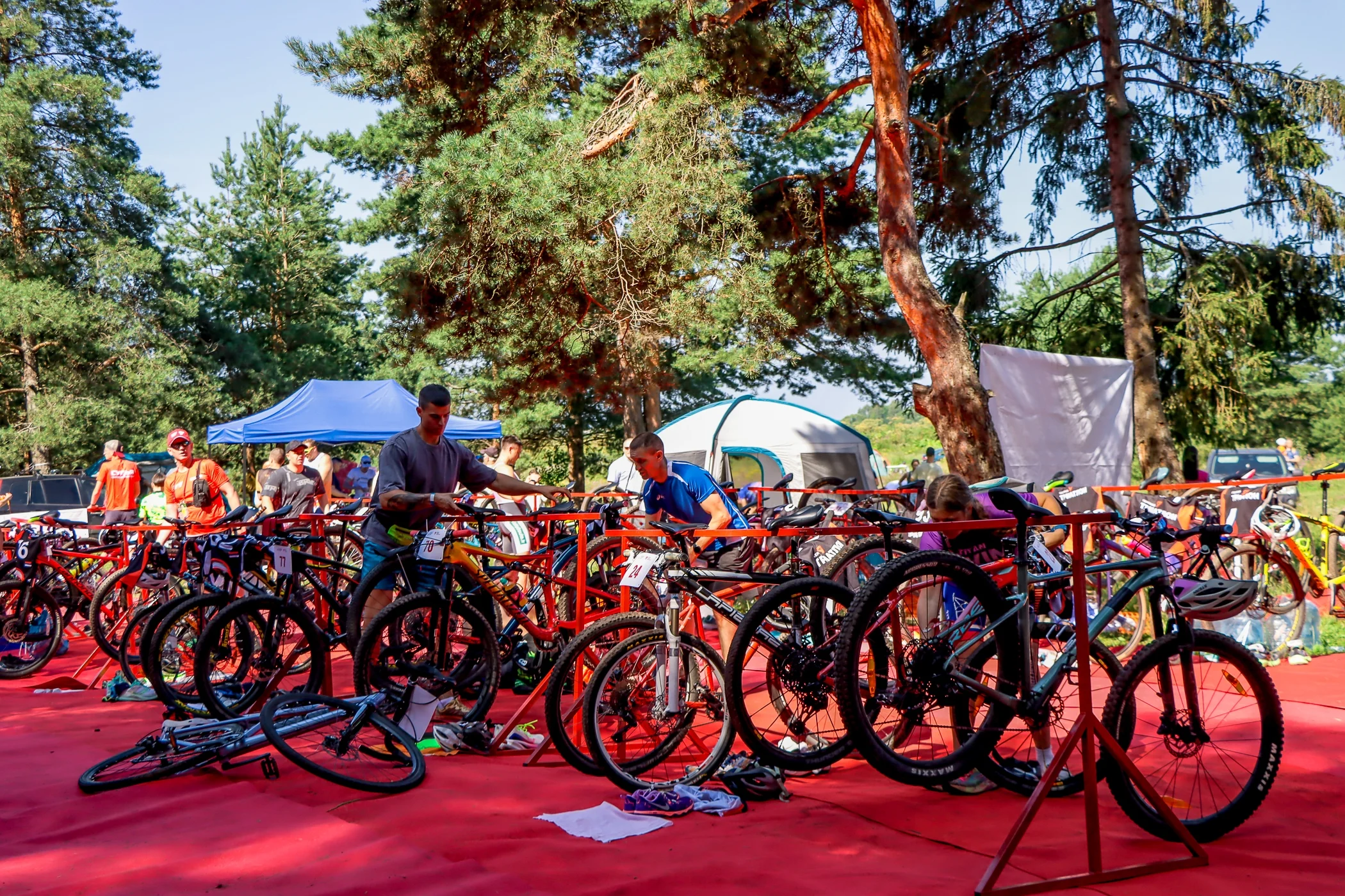 box widget regular background