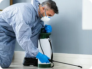 Pest Control Services