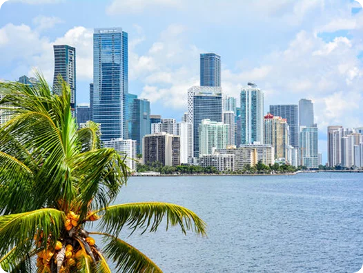 Digital Marketing in Miami-Dade County That Delivers Results