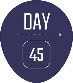 45 days