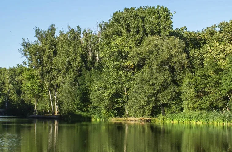 Lafayette County
