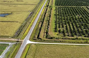 Hendry County