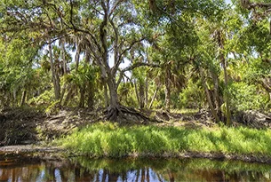Liberty County