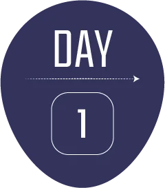 1 day
