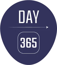 365 days