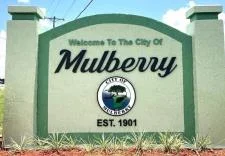 Mulberry