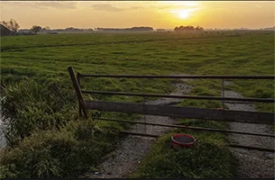 Madison County