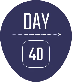 40 days
