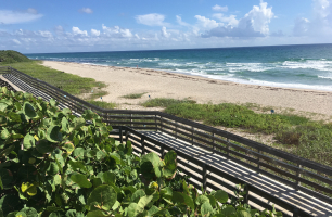 John D. MacArthur Beach State Park