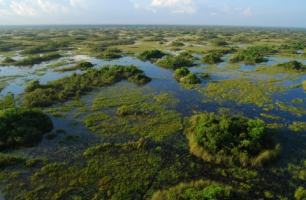 Arthur R. Marshall Loxahatchee National Wildlife Refuge