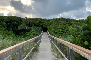 Ocean Ridge Hammock Park