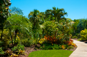 Mounts Botanical Garden