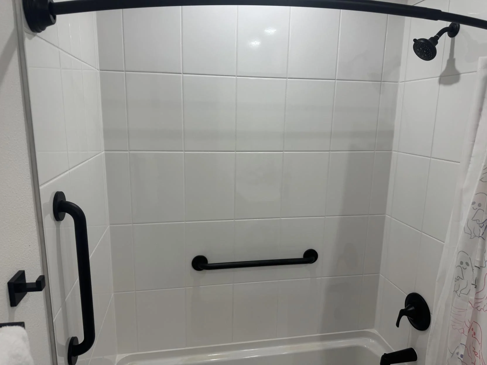 Grab Bar Installation in Venice