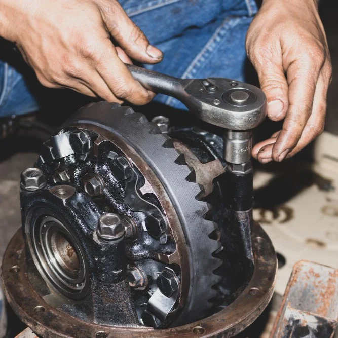 Mechanic repairing vehicle differential