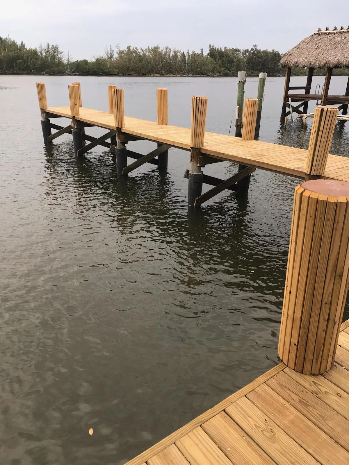 Wood Dock & Pilings: Hollywood