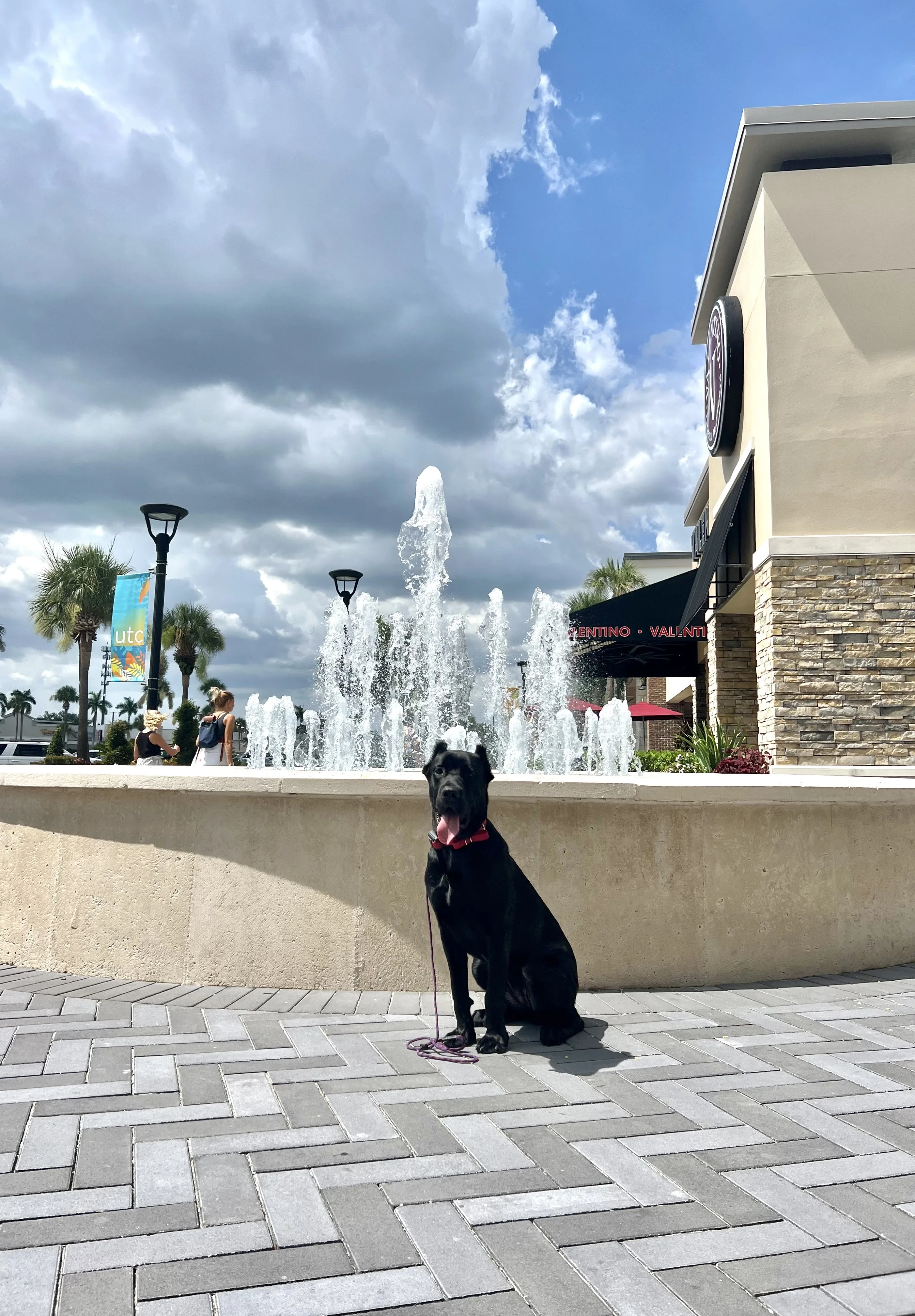 Local And National Resources