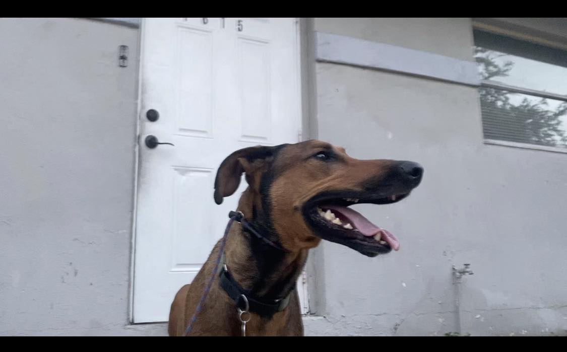 Local And National Resources