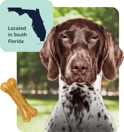 Located-in-South-Florida