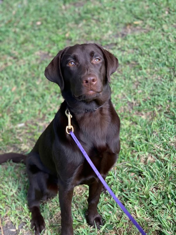 Local And National Resources