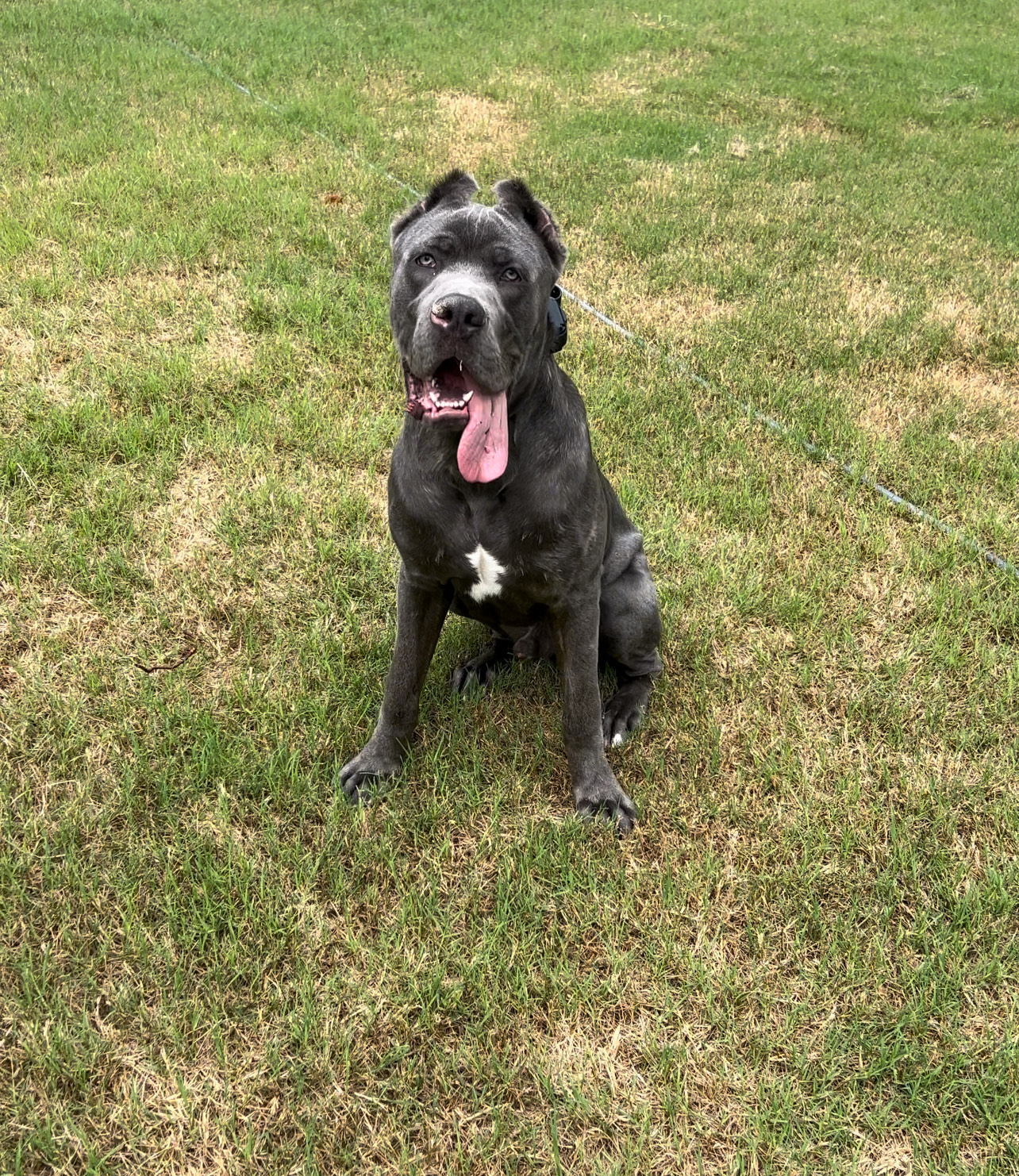 Local And National Resources