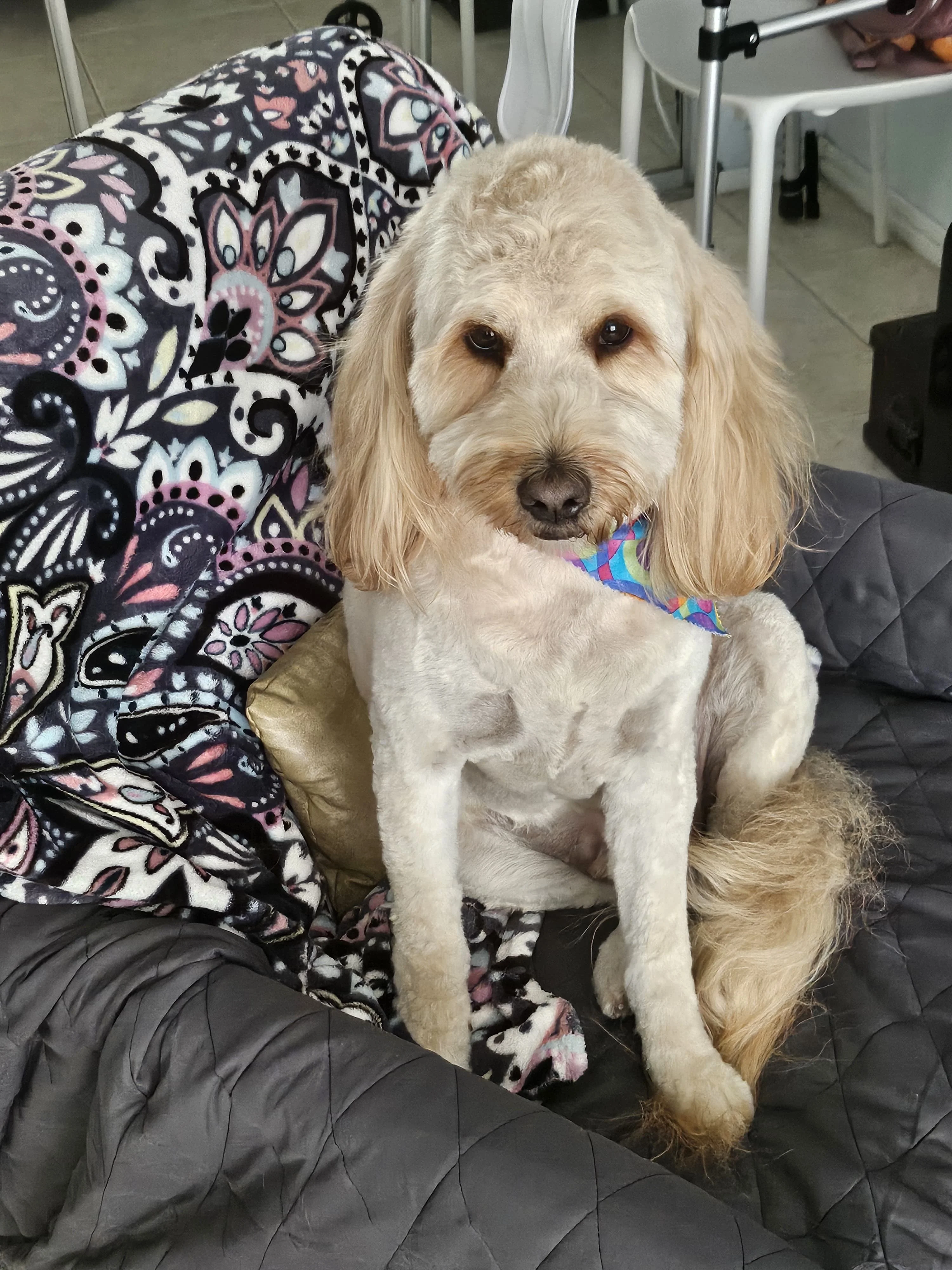 Local And National Resources