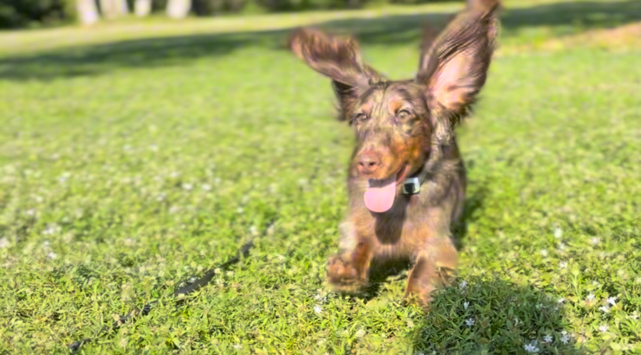 Local And National Resources