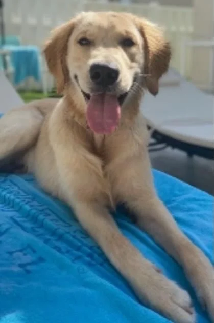 Tito