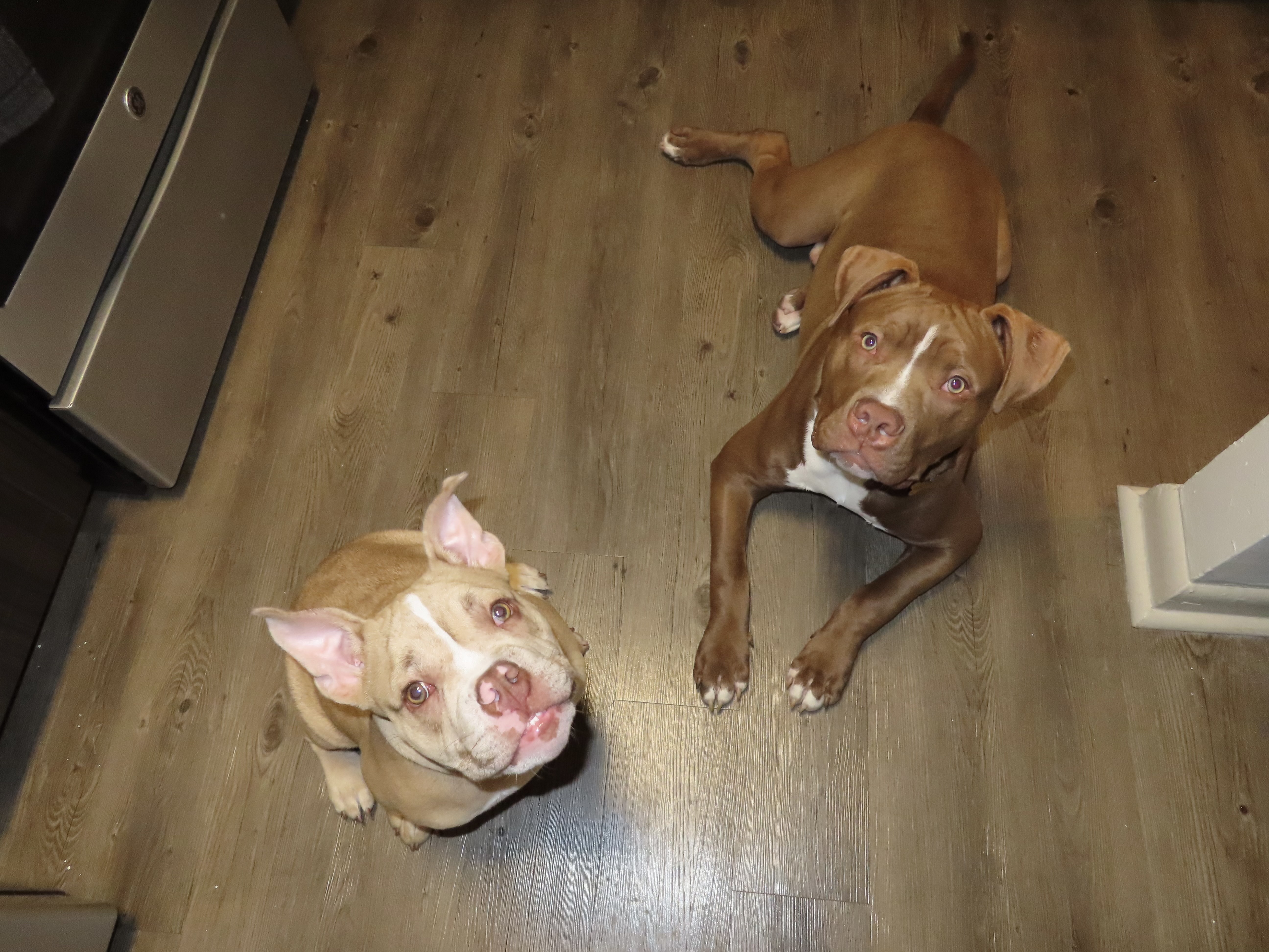 Local And National Resources