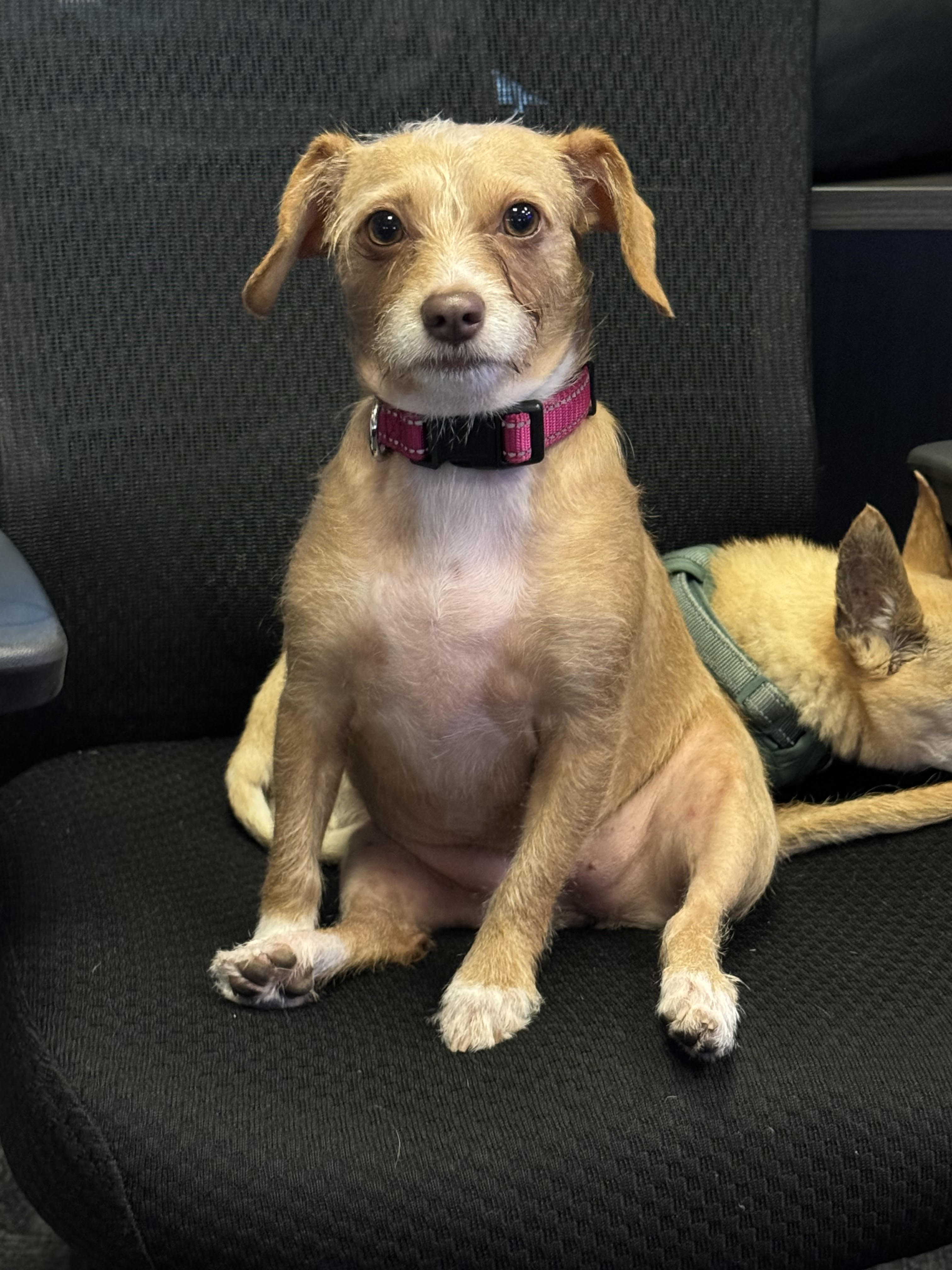 Local And National Resources