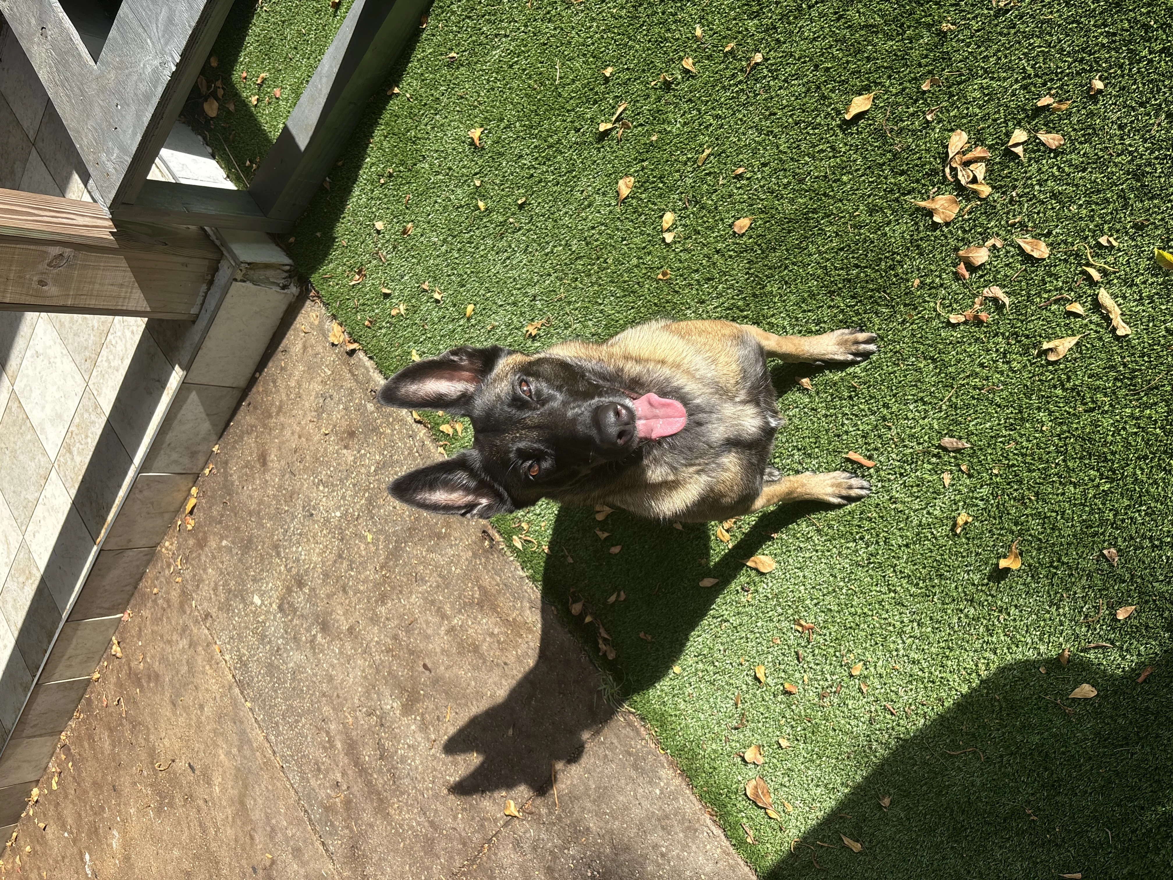 Local And National Resources