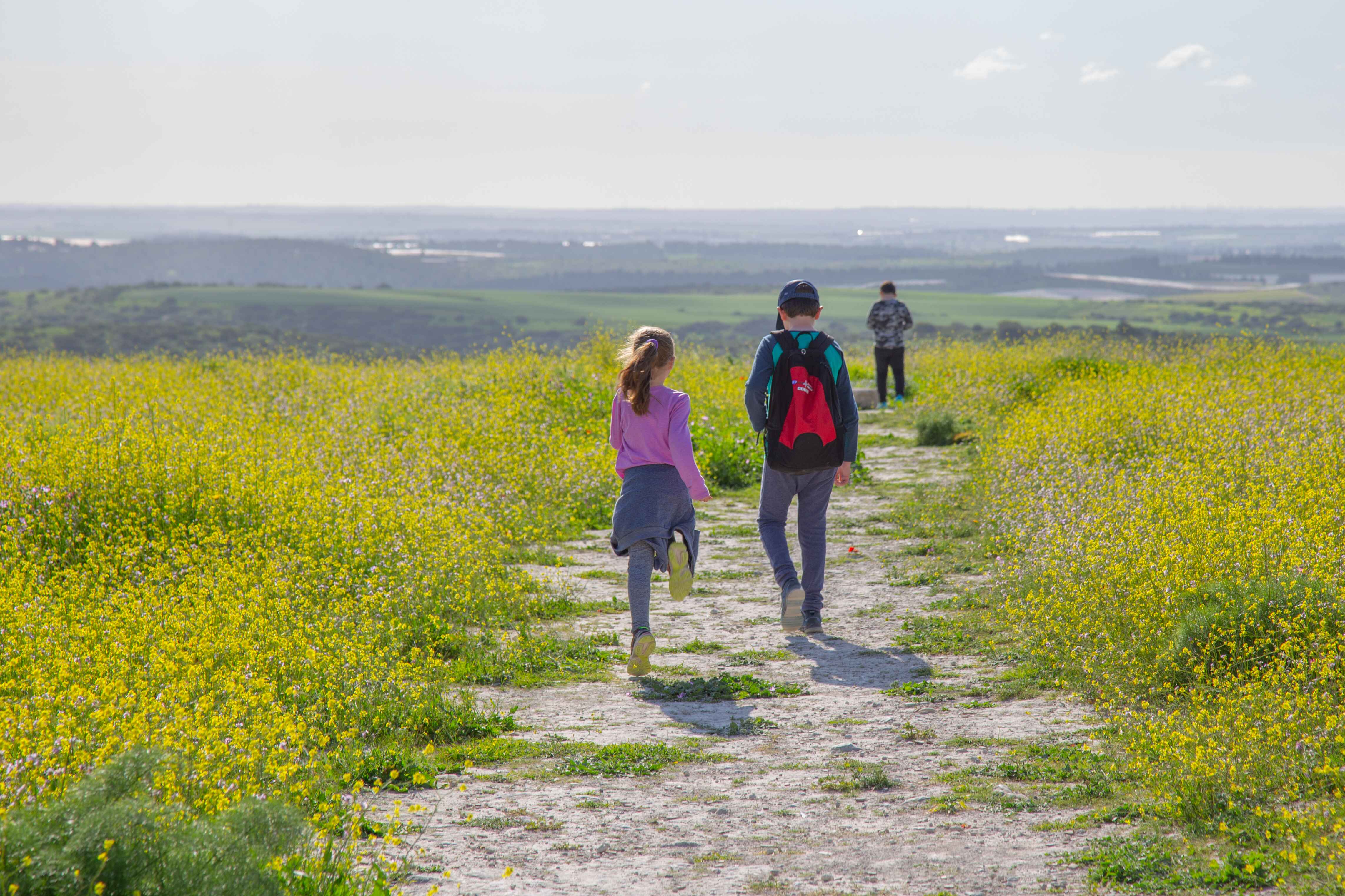 Children walking on a path surrounded by blooming wildflowers, enjoying a scenic hike in nature. Beit Guvrin, Israel 