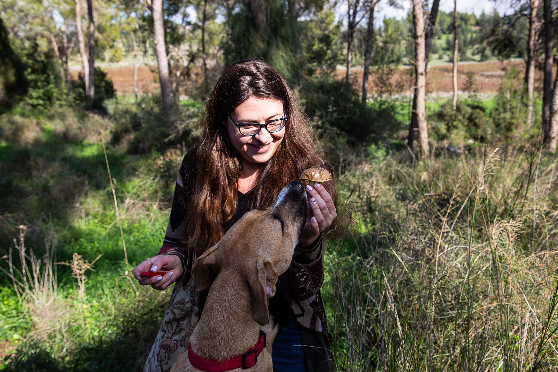 A woman training her dog in the forest, holding a mushroom in front of the dog's nose. Meginim Forest, Israel