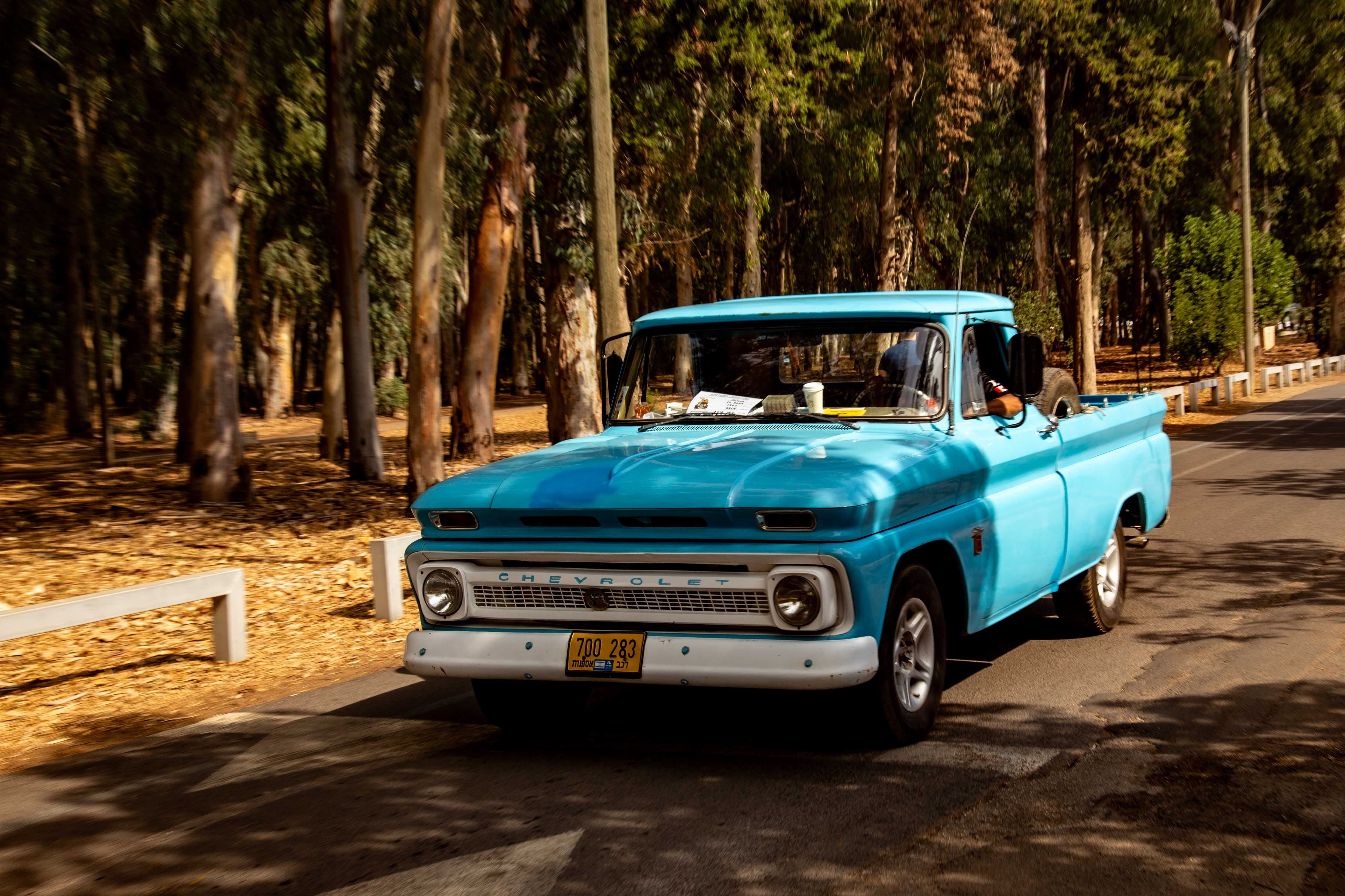 A vibrant blue, vintage Chevrolet truck driving through a park lined with tall trees, casting shadows on the road. Retro Car Club Leumi, Tel Aviv, Israel