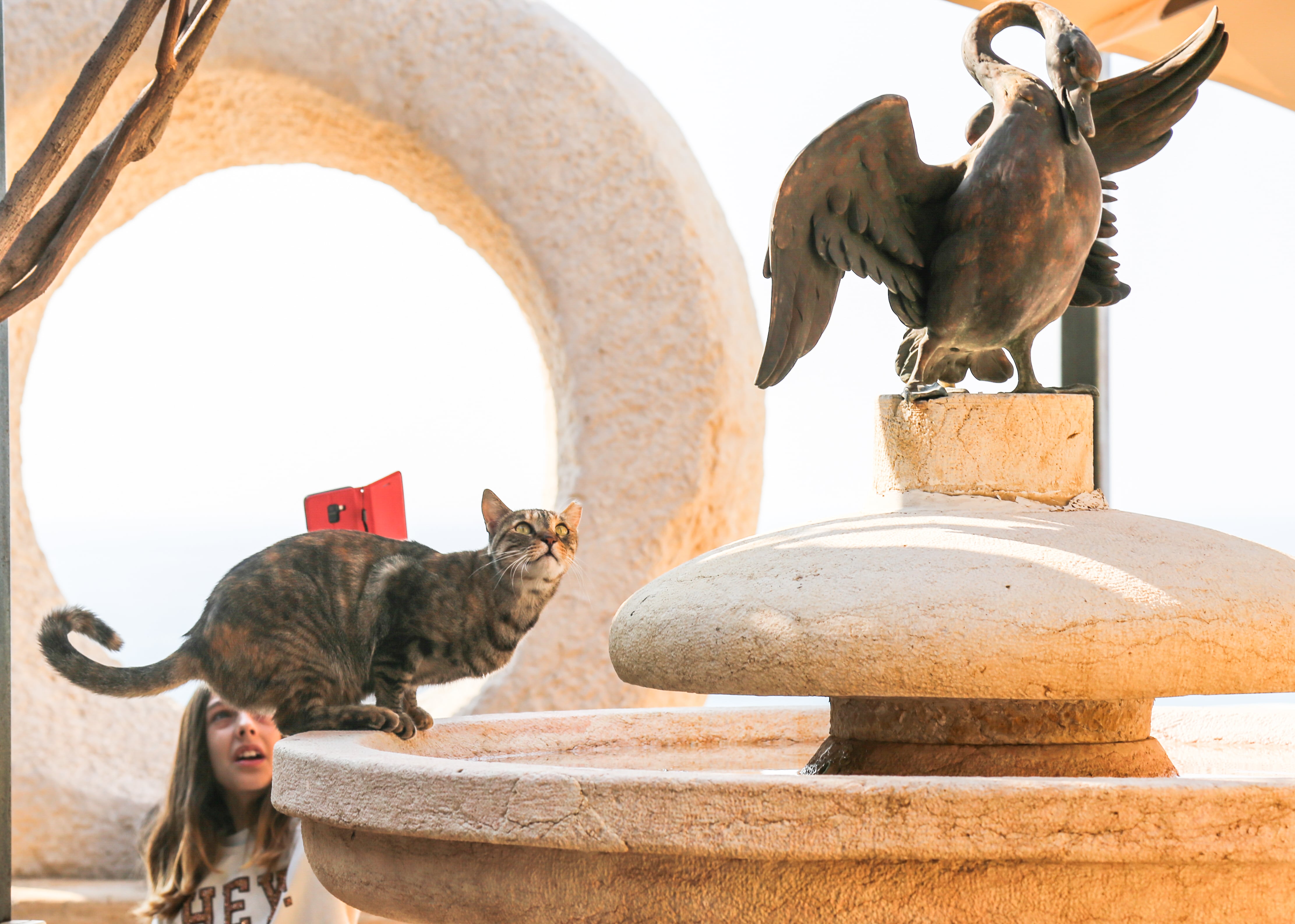 A cat climbs a stone fountain, gazing at a bronze bird statue while a girl watches in amusement in Jaffa. Jaffa, Israel