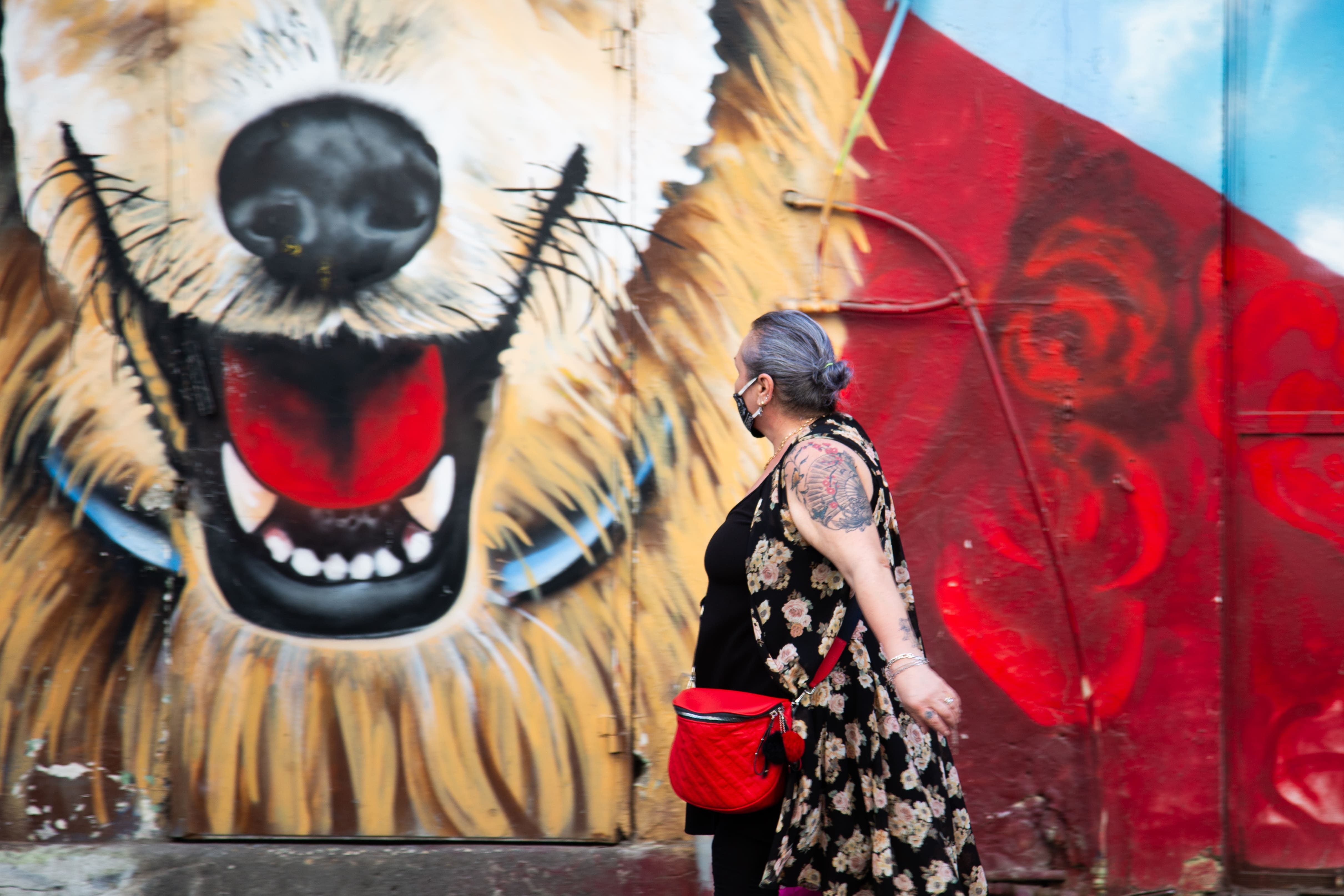 A woman with a floral tattoo walks past a bold mural of a roaring dog in Florentin, reflecting urban art vibes. Florentin, Tel Aviv, Israel