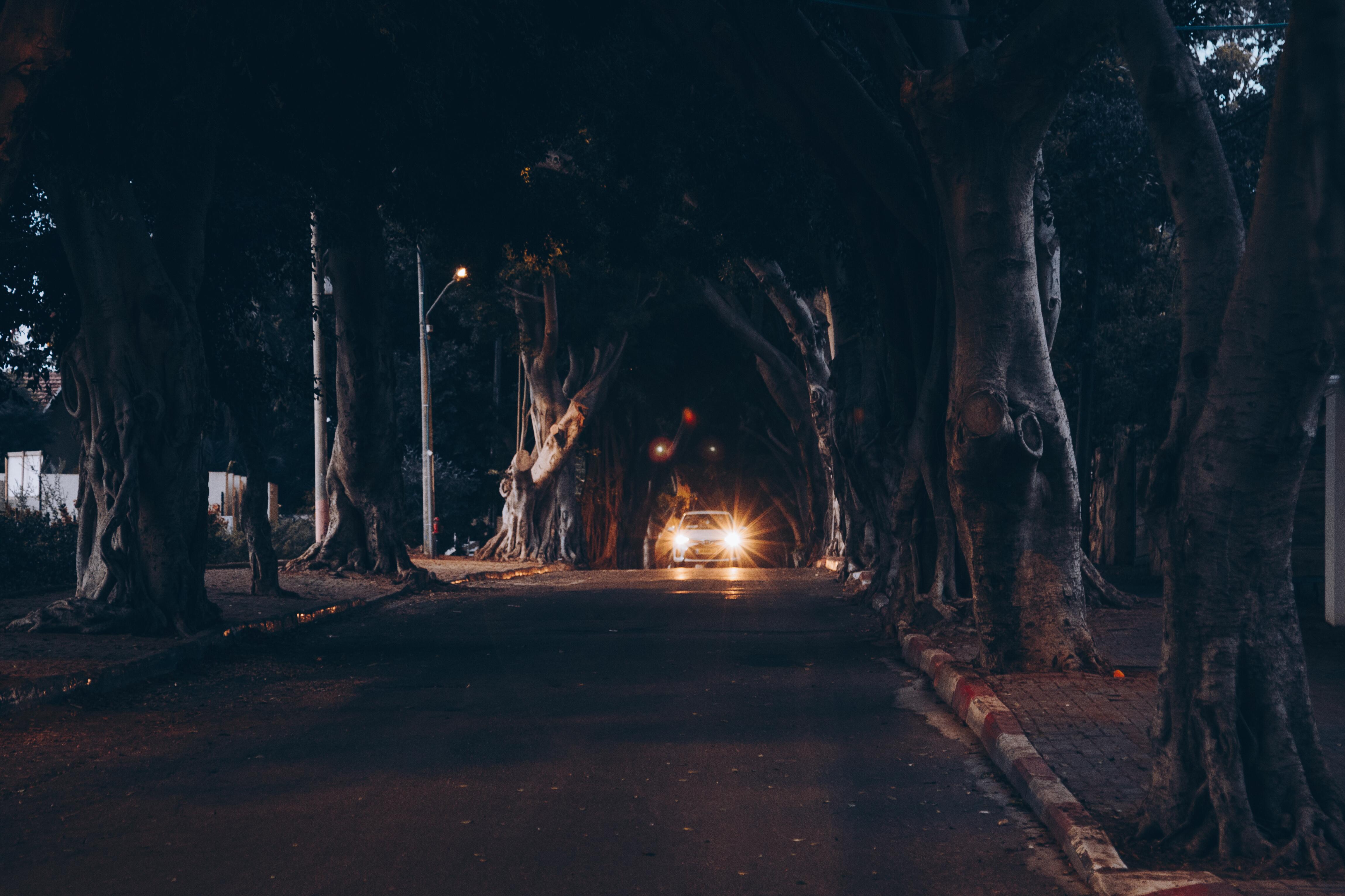 A car with headlights on drives through a dark, tree-lined street, casting long shadows. Hertzliya, Israel 