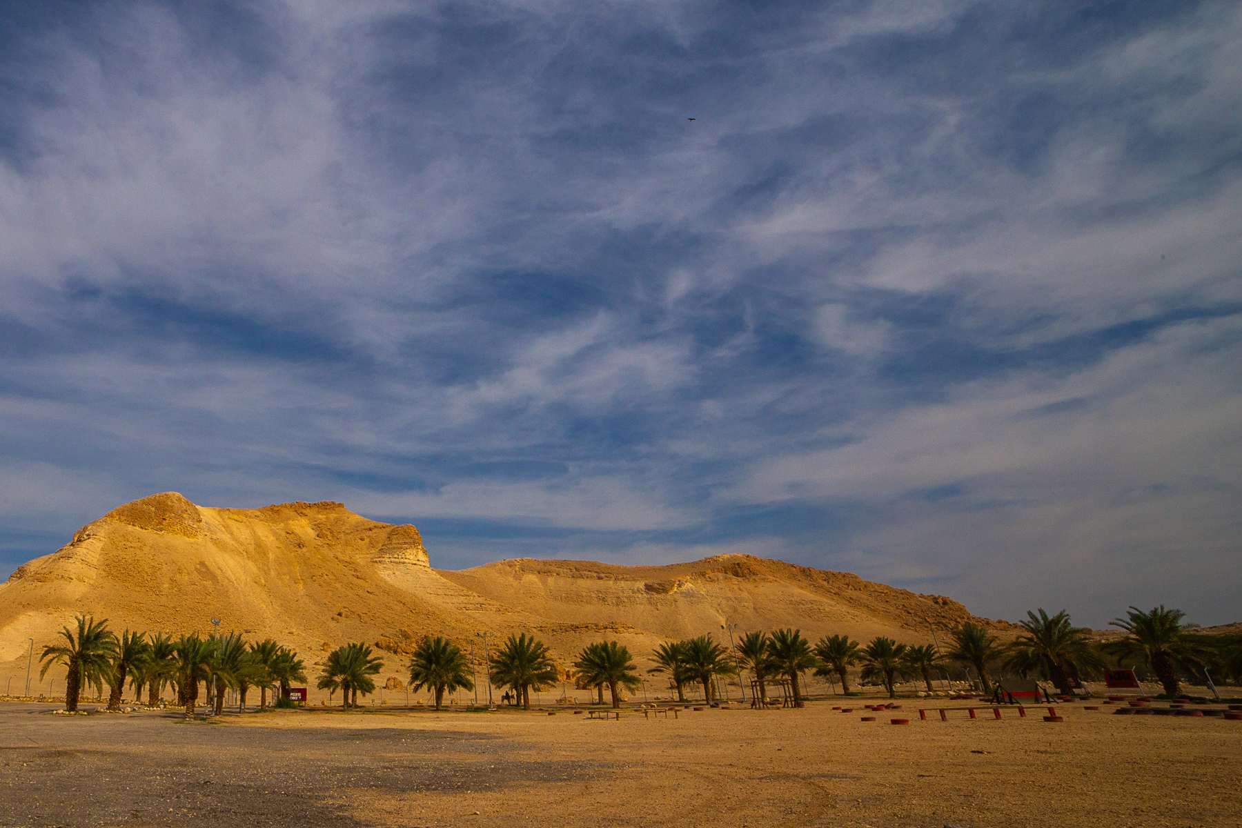 A row of palm trees set against the backdrop of golden desert hills under a wide blue sky. Fatsael,Israel