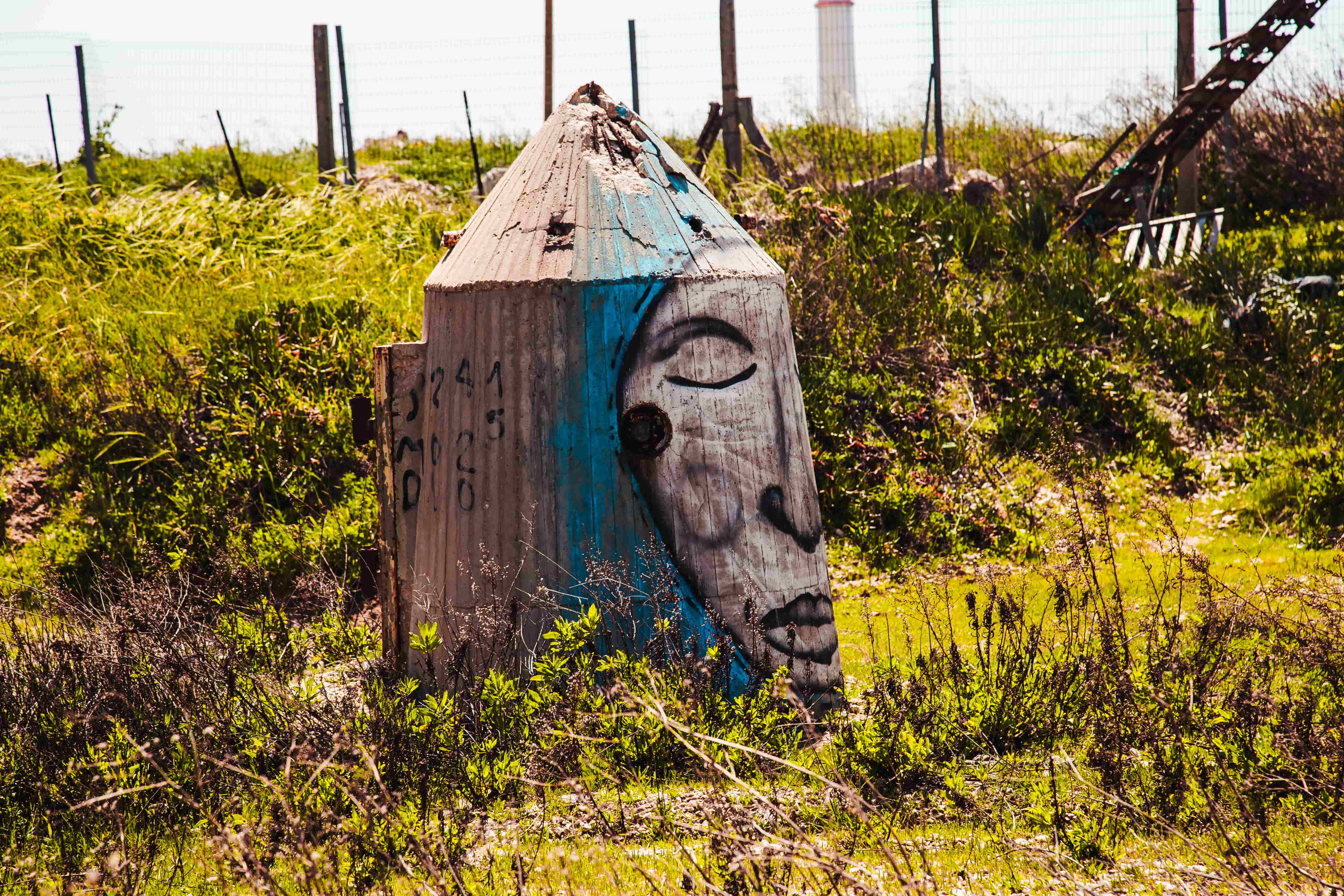 A serene face painted on a weathered concrete structure blends human touch with an industrial, overgrown setting, creating a mystical presence. Tel Aviv, Israel