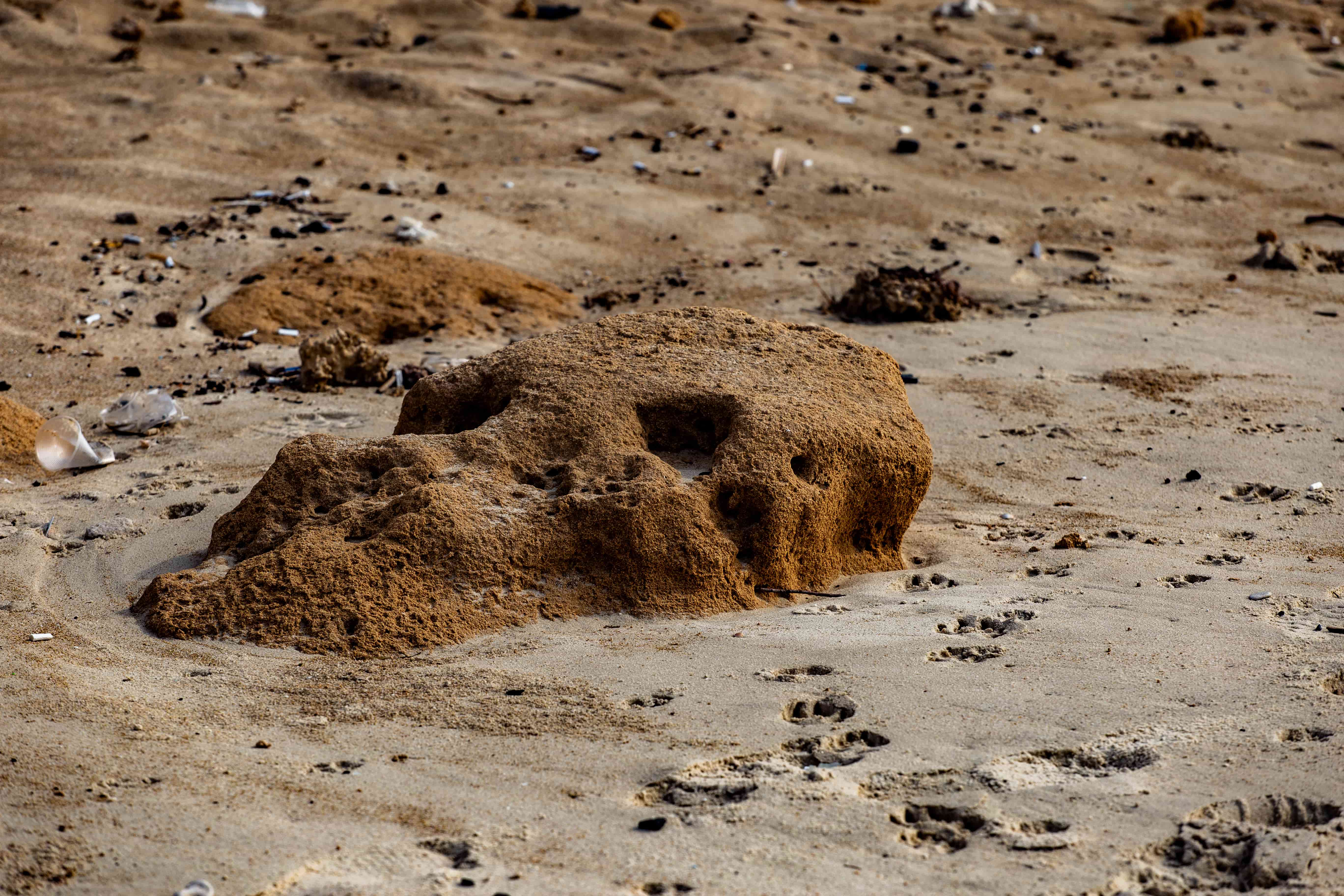 The weathered rock’s curves and holes create a skull-like form, shaped by nature’s forces, evoking resilience and time’s passage. Sharon Beach Reservation