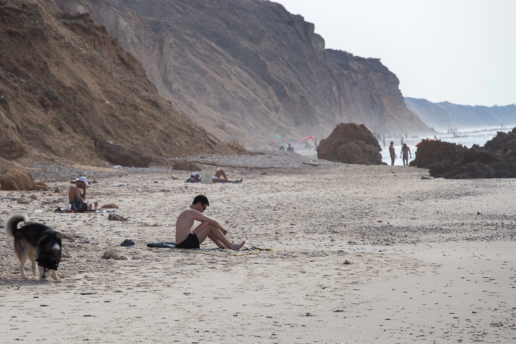 A quiet beach scene with cliffs in the background, a few people scattered along the shore, and a dog sniffing in the sand. Sharon Beach Reserve