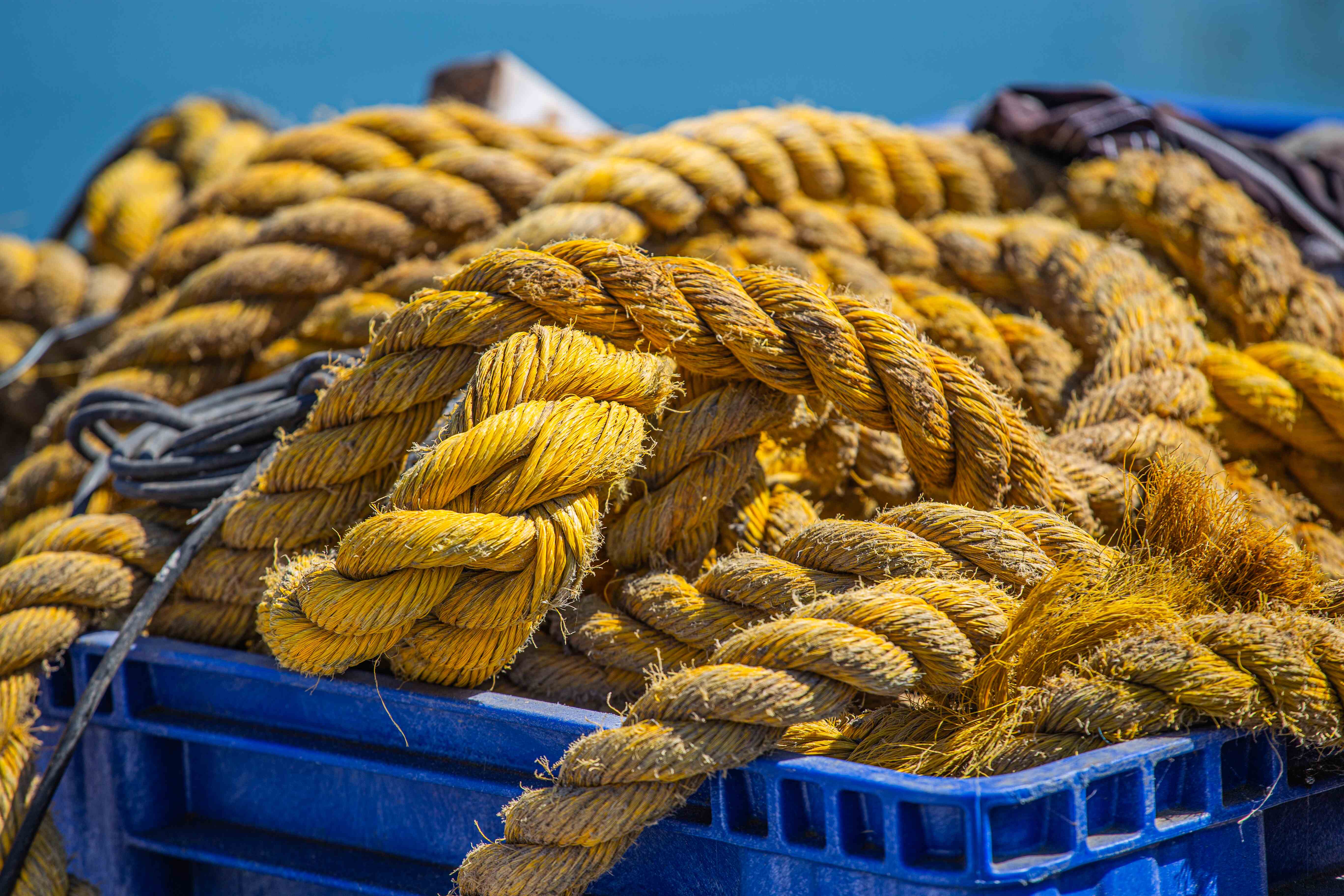 Thick, worn yellow ropes neatly coiled inside a blue crate, contrasting against a clear sky background. Tel Aviv, Israel