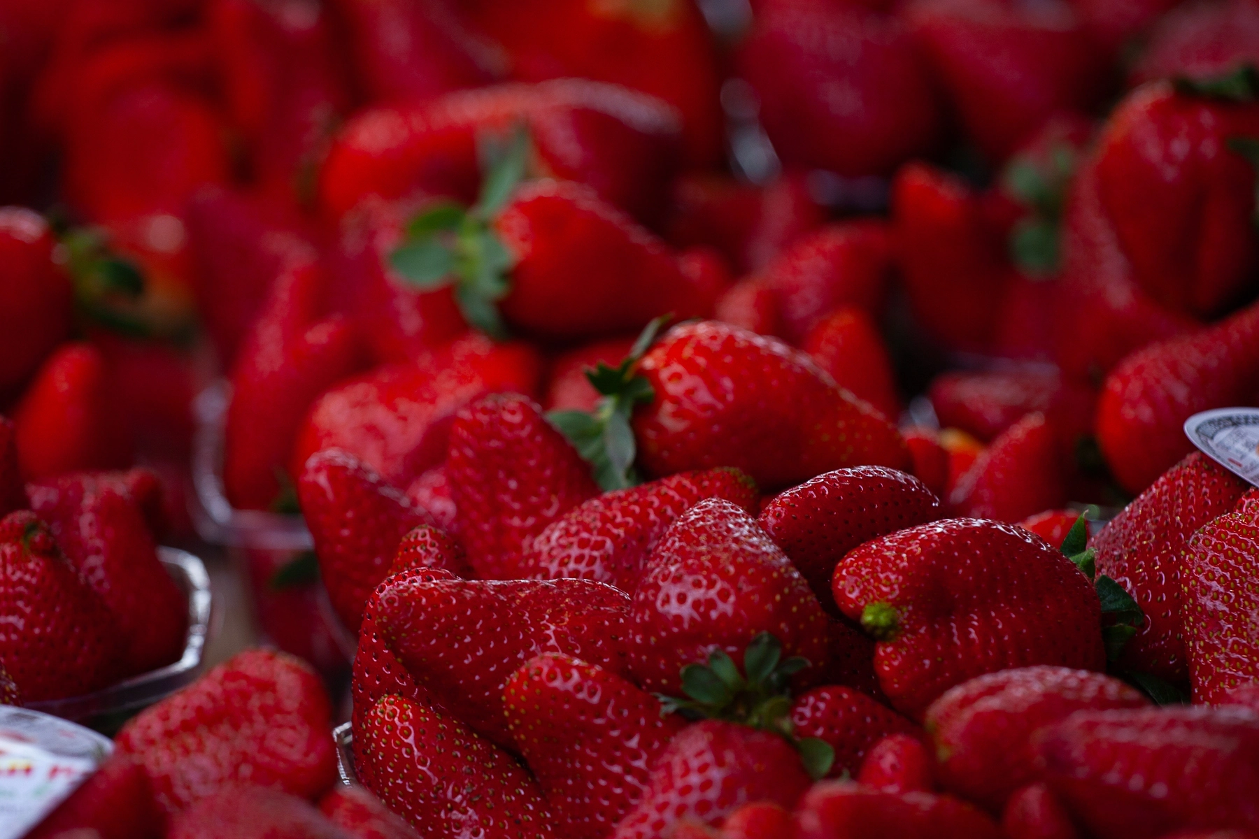 A close-up of bright red strawberries piled together at a market stand. Tel Aviv, Israel