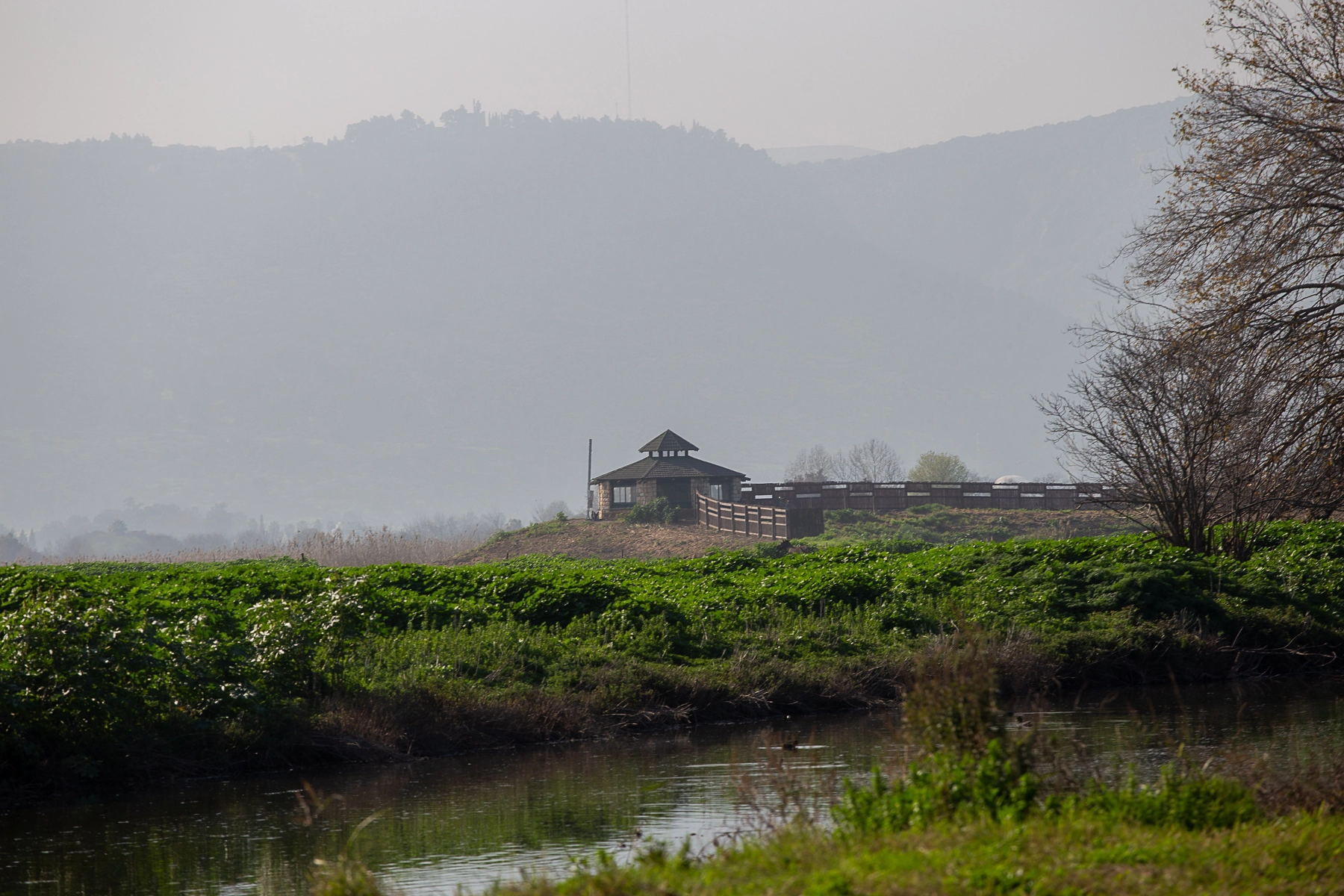 A distant view of an observation hut near a marshy area with a backdrop of fog-covered hills, and a small water body in the foreground. Ahula Lake, Israel