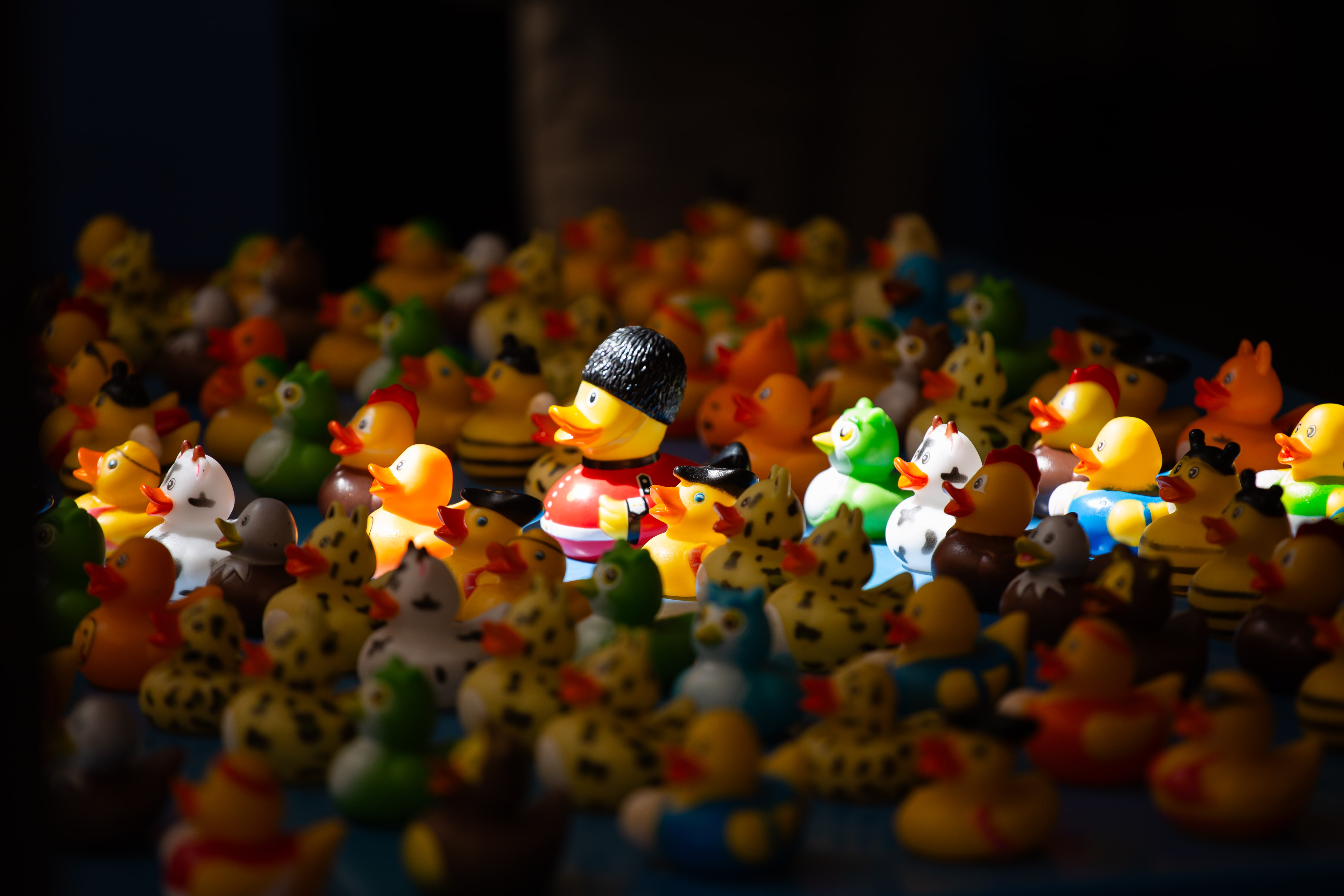 A crowd of colorful rubber ducks surrounds a standout British guard duck, emphasizing individuality in a playful, chaotic scene. Tel Aviv, Israel